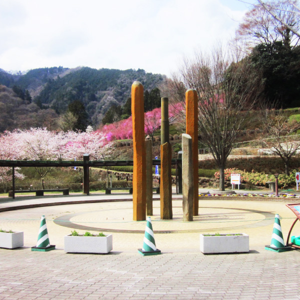 写真：神奈川県立あいかわ公園(神奈川県愛甲郡愛川町)